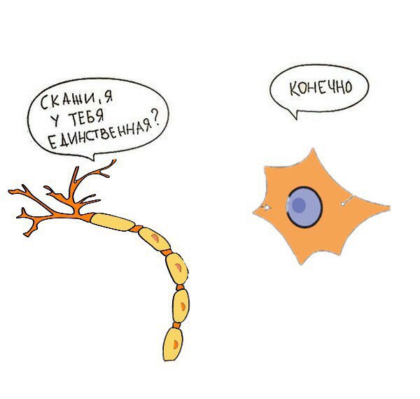 ZUeodF1oNuw.jpg