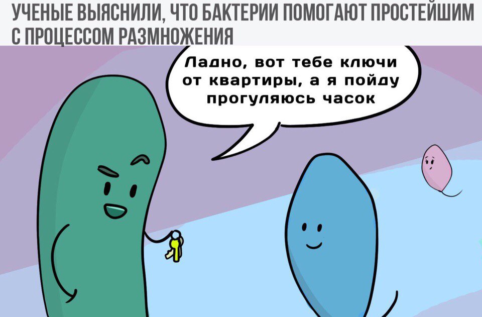 FvWOUbR2cao.jpg