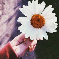 Муниса Расулова