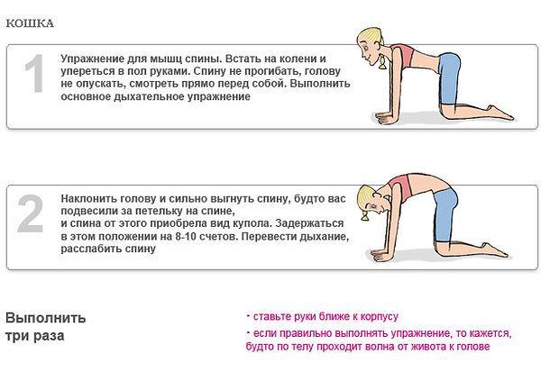 Дыхательная гимнастика Бодифлекс — комплекс упражнений для похудения Дыхательная гимнастика Бодифлекс — комплекс упражнений для похудения