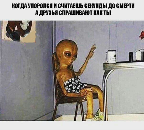 XEZevbcU2KE.jpg