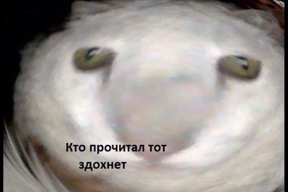 Ygr0c8s_5Go.jpg