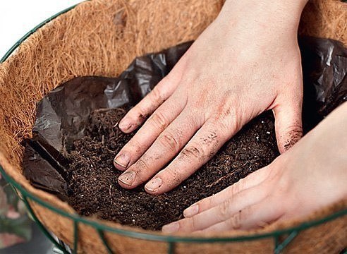 ОДНОЛЕТНИКИ В ПОДВЕСНЫХ КОРЗИНКАХ: ВЫБОР КОРЗИНЫ, ПОЧВА, УХОД, ПОДБОР РАСТЕНИЙ Каждый любитель цветов, путешествующий летом по Европе, любуется подвесными цветочными корзинами, украшающими сады.