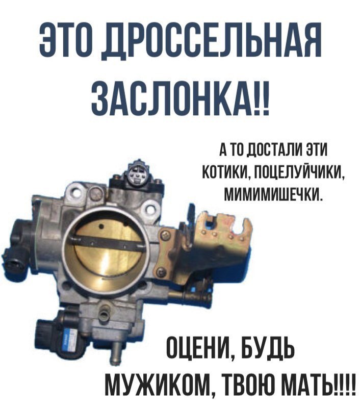 ohUfnm6u3i4.jpg