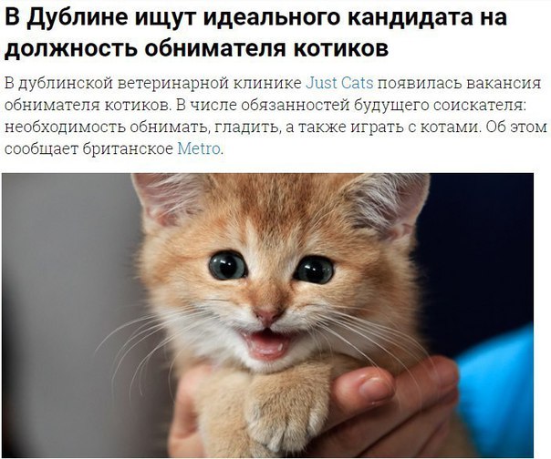 Извини, но ты живешь в России