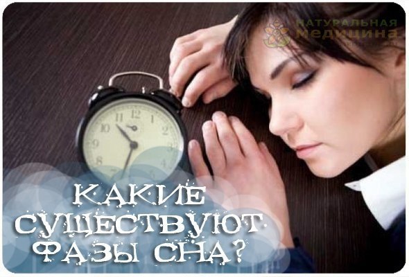 Какие сyществyют фазы сна
