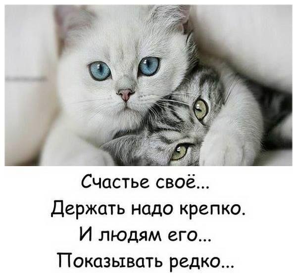https://pp.userapi.com/c635103/v635103152/2d81/J7p4QrzAI3M.jpg