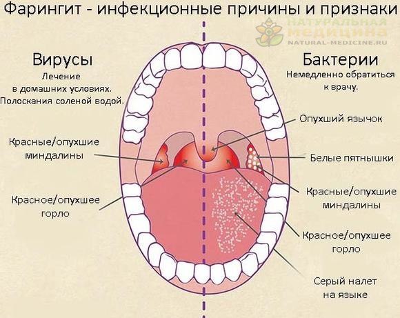  Ещё больше рецептов, статей и советов на нашем сайте    заходите