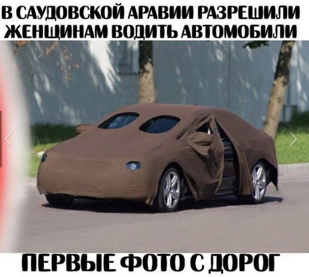 смешные картинки