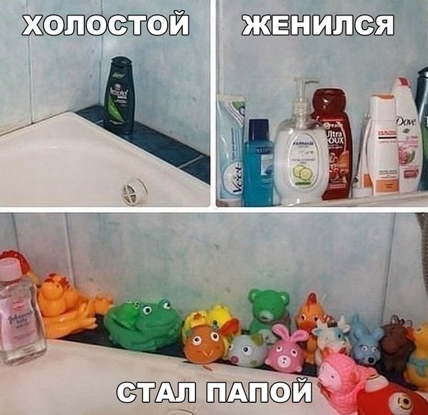 смешные картинки