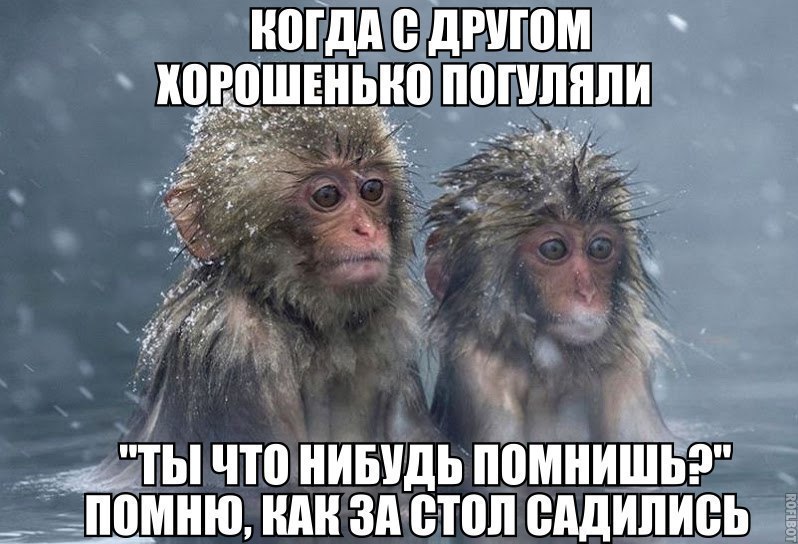 9r__NVK9HJs.jpg