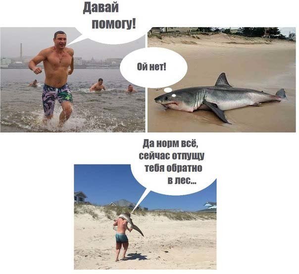[Изображение: azppMYonHOI.jpg]