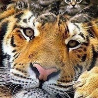 Оксана Бурая