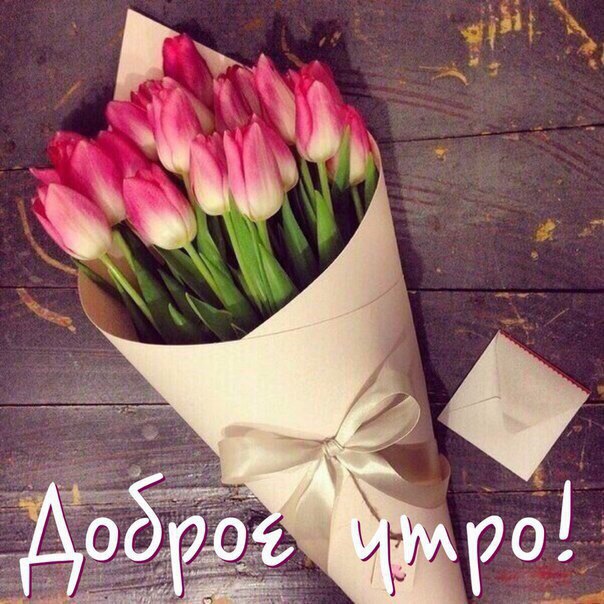 https://pp.userapi.com/c635103/v635103566/17f6e/hqW_Ykw2wk8.jpg