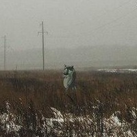 Коля Малышевский