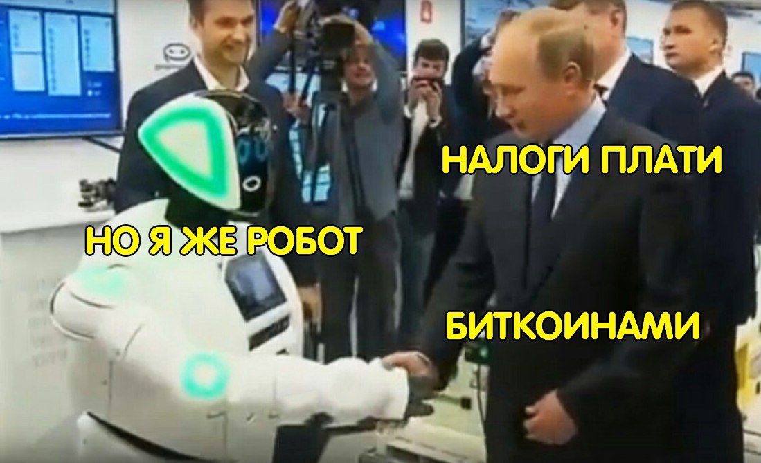 iSMTZm89OJo.jpg