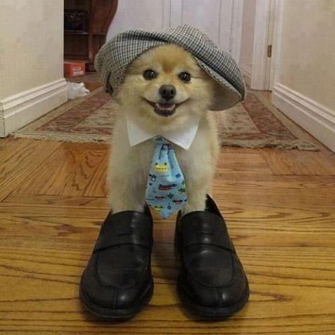 Фото дня