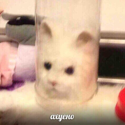 5FeJqU-iupo.jpg