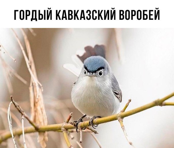 Vxy6tmiOFOQ.jpg