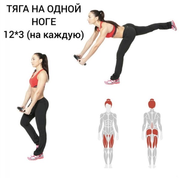 Прокачиваем ягодицы! 