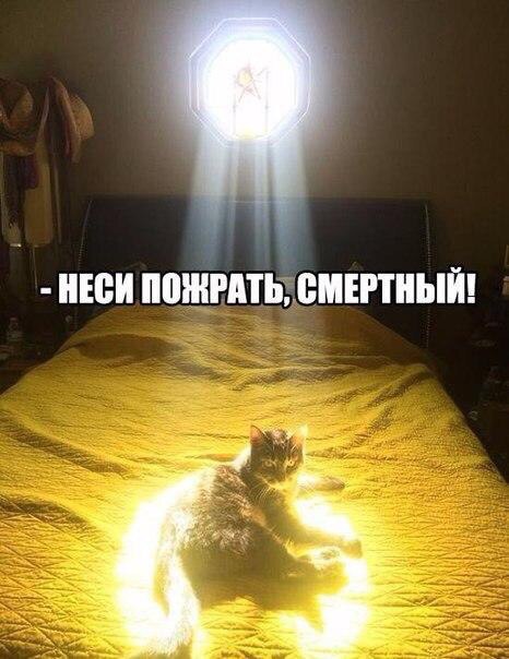 https://pp.userapi.com/c635104/v635104982/16abb/VlIXIajdNb4.jpg