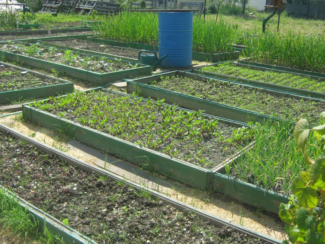 Грядки из подоконников пвх своими руками
