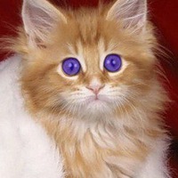 Натали Суворова | Витебск