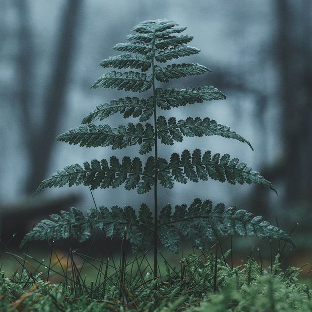 https://pp.userapi.com/c636024/v636024254/430a1/Jkjpbvxk1z0.jpg