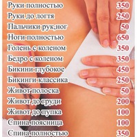 Дарья Шишканова
