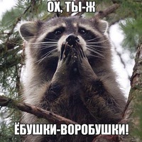 Ваня Малаэв
