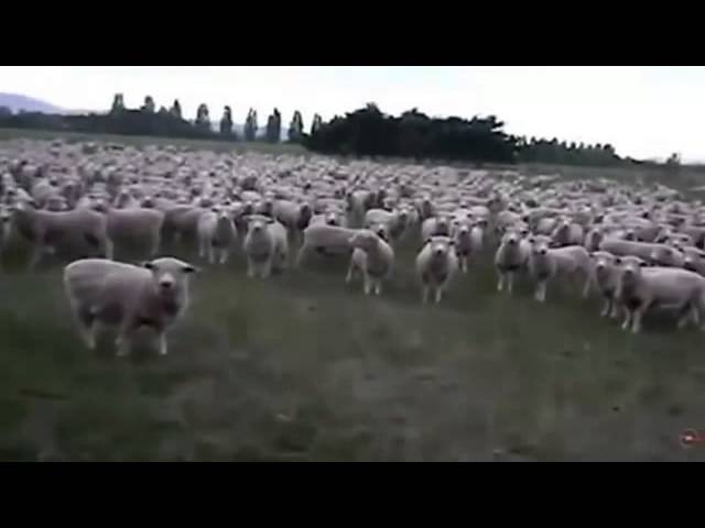 Слава Украине