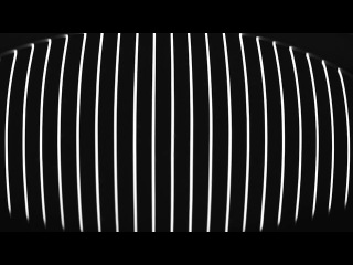 Carsten Nicolai - reflektor distortion