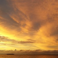 Елена Галкина