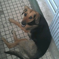 Ксения Меренкова | Кириши