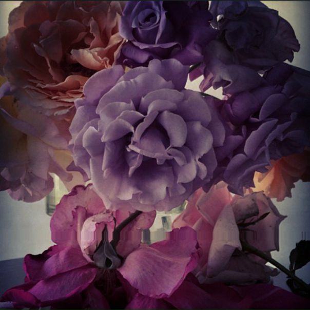 Nick Knight