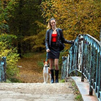 Малефисента Нет