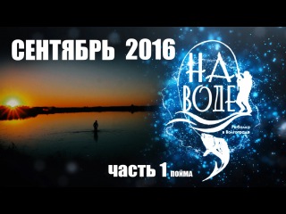 Рыбалка в Волгограде На Воде Сентябрь 1