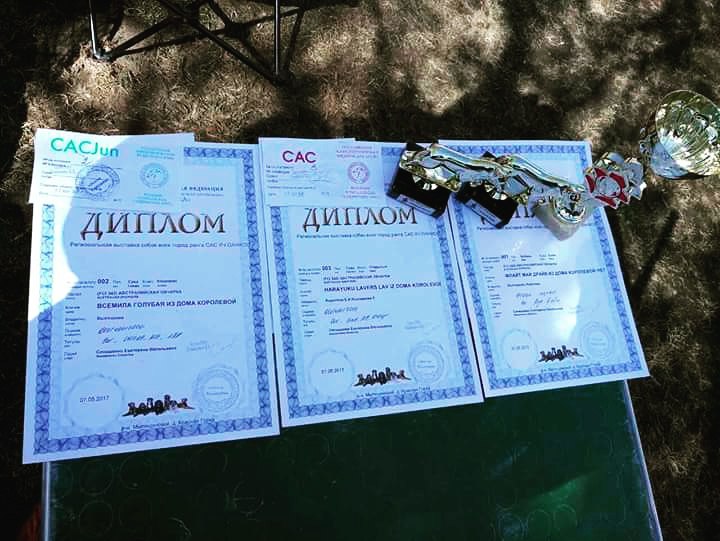 Австралийские овчарки питомника "Из дома Королёвой" - Страница 6 AB_saAScwB0