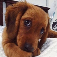 Юлия Тюрина | Москва