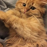 Дмитрий Жариков | Ростов-на-Дону