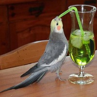 Макс Нижников
