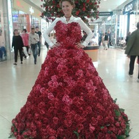 Светлана С