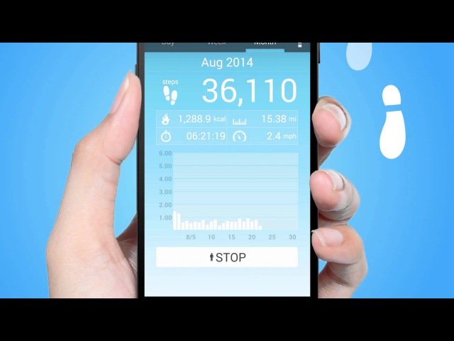 Pedometer