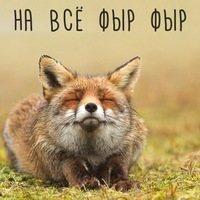 Софья Дядук