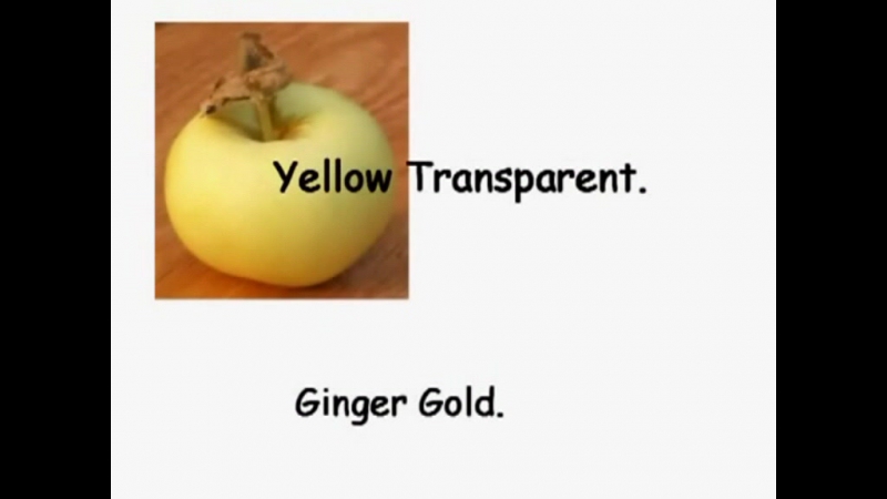 Red delisious