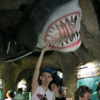 Диндар Шафиков