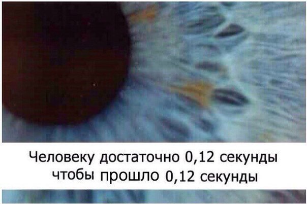 Воскресный факт дня