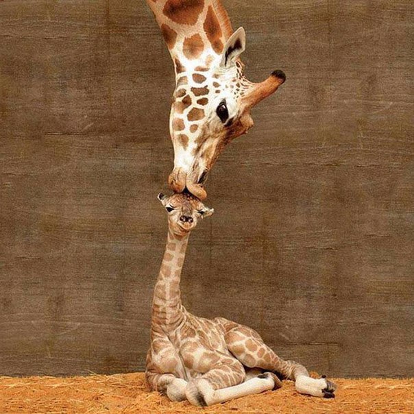 #foto@toptrips