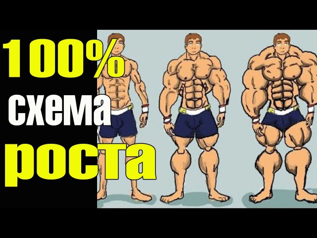 Мышцы начнут расти даже у дрища!