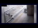 NJ Transit officer rescues man seconds before train arrives